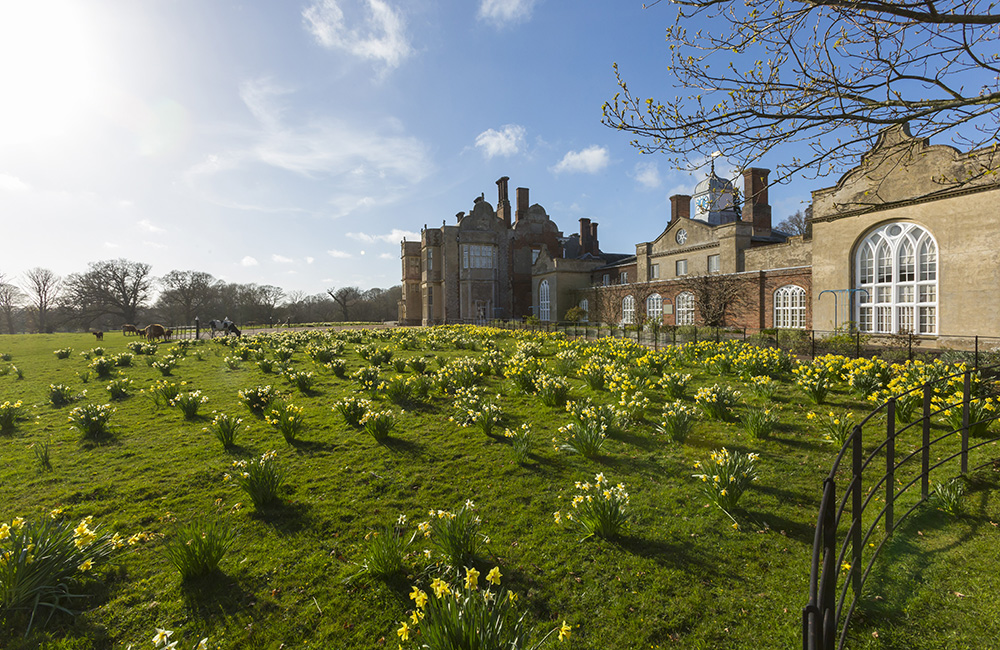 Daffodils in front of National Trust Felbrigg Hall in Norfolk.